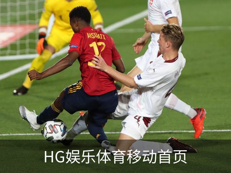HG娱乐体育移动首页概况